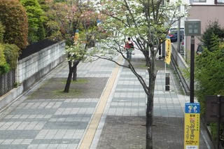DSCF3938.jpg